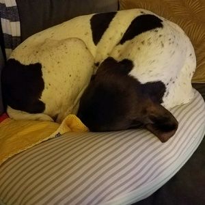 Meet your Posher, Leah